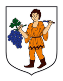 Hluk